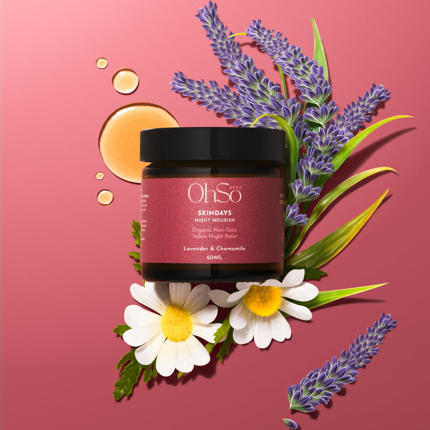 Night Nourish Tallow Night Cream