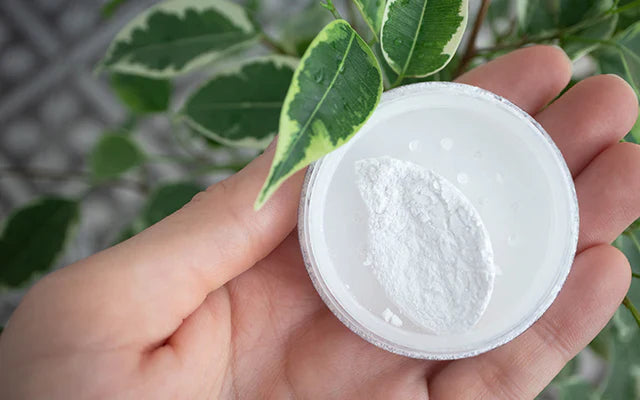 Everything You Need To Know About Zinc Oxide